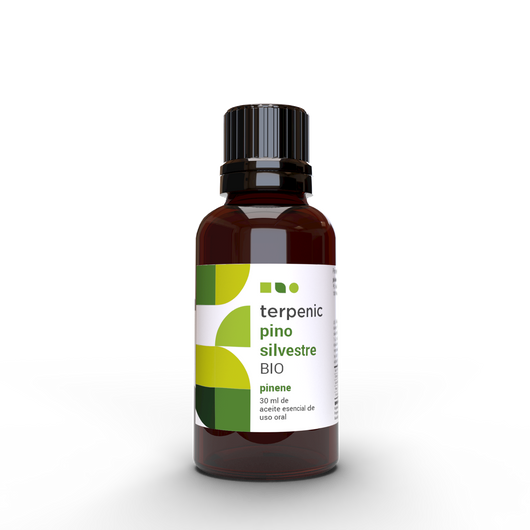 Aceite esencial de Pino Silvestre BIO (ECO) - Tribu Naturals